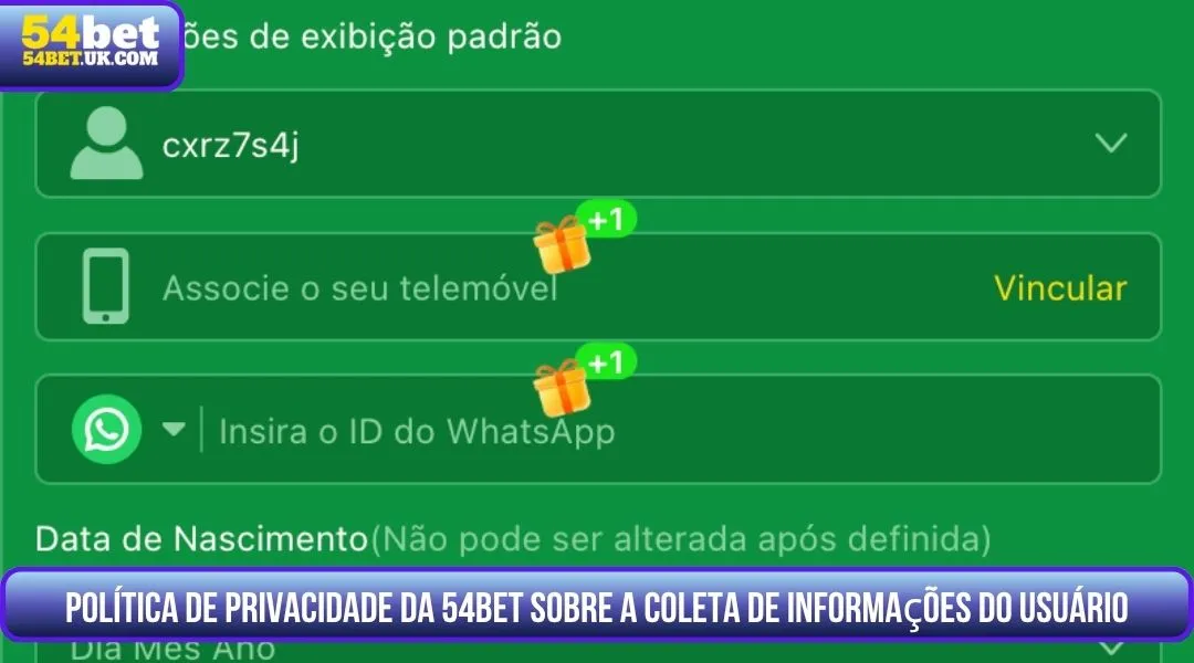 Política de Privacidade da 54BET sobre a Coleta de Informações do Usuário